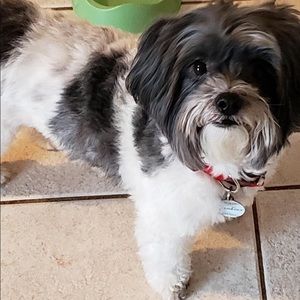 Meet your Posher, Debbie